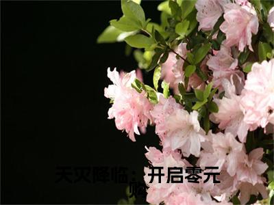  云瑶陆今安（天灾降临：开启零元购，在末世躺平）全文免费阅读_（ 云瑶陆今安）天灾降临：开启零元购，在末世躺平最新章节小说免费阅读_笔趣阁（ 云瑶陆今安）