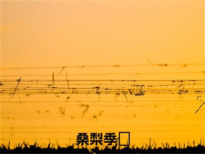 桑梨季峸在线阅读（季峸桑梨）全文免费阅读无弹窗大结局_ (桑梨季峸全文免费阅读)最新章节列表_笔趣阁（季峸桑梨）