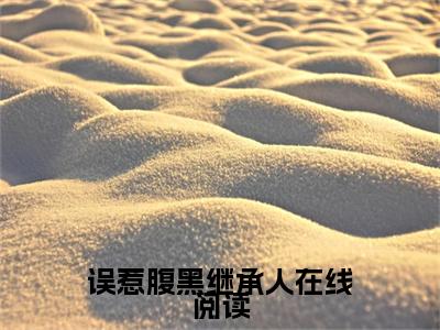 误惹腹黑继承人全文免费阅读_误惹腹黑继承人（ 周稚京陈靖善免费阅读无弹窗） 周稚京陈靖善最新章节列表笔趣阁