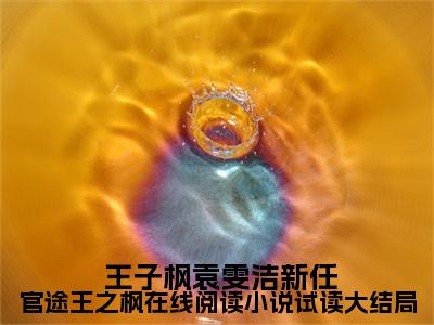 新任官途王之枫在线阅读小说试读大结局( 王子枫袁雯洁)全文免费阅读大结局_(新任官途王之枫在线阅读小说试读大结局) 王子枫袁雯洁免费在线阅读无删减_笔趣阁