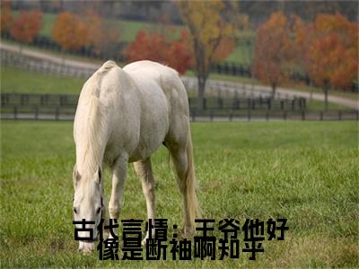 古代言情：王爷他好像是断袖啊小说（ 颜荀盛子戎）全文免费阅读无弹窗大结局_古代言情：王爷他好像是断袖啊小说最新章节列表_笔趣阁