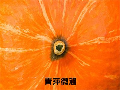 青萍微澜全文免费阅读无弹窗大结局_ （黎姝江彧完结）青萍微澜小说最新章节列表