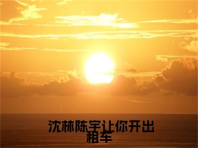 【新书】《让你开出租车，你拉的全是通缉犯》全文免费阅读最新章节大结局- 沈林陈宇 全文全章节免费阅读