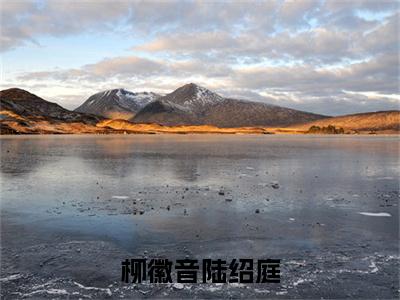 柳徽音陆绍庭小说热门榜单免费阅读，陆绍庭柳徽音抖音新上热文分享_笔趣阁（柳徽音陆绍庭）