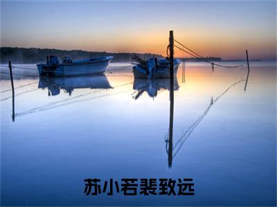 苏小若裴致远全文免费阅读无弹窗大结局_（裴致远苏小若无弹窗）苏小若裴致远全文阅读最新章节列表笔趣阁