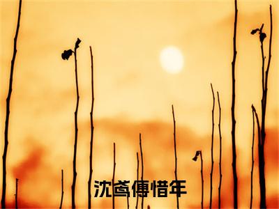 沈鸢傅惜年(傅惜年沈鸢全文)全文免费阅读无弹窗大结局_(傅惜年沈鸢)沈鸢傅惜年全文小说最新章节列表笔趣阁(傅惜年沈鸢全文)