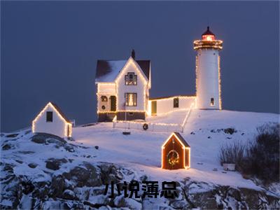 薄总，太太又跟人去约会了薄荆舟沈晚瓷试读大结局（ 薄荆舟沈晚瓷）小说全文无删减版_薄总，太太又跟人去约会了薄荆舟沈晚瓷试读大结局最新章节列表_笔趣阁（ 薄荆舟沈晚瓷）