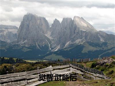 觉醒武能后，她带着大叔杀疯末世（ 武能蓝蓝琪）是什么小说-（ 武能蓝蓝琪）无弹窗免费阅读大结局最新章节列表_笔趣阁