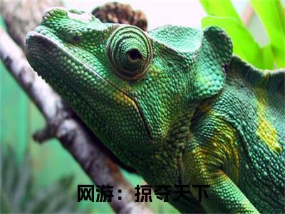 叶秋小说网游：掠夺天下最新章节阅读-最新热点小说叶秋
