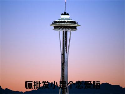 疯批发小是个恋爱脑陈挽侬许南席完整全文在线阅读 陈挽侬许南席抖音热推小说全集无删减