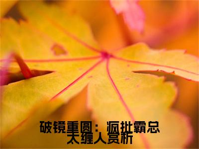 破镜重圆：疯批霸总太缠人（ 伏鸢鸢鸢）全文免费阅读无弹窗大结局_破镜重圆：疯批霸总太缠人在线阅读笔趣阁( 伏鸢鸢鸢）