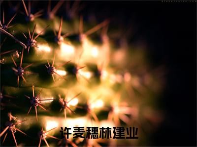 林建业许麦穗高赞小说（许麦穗林建业）完结阅读_许麦穗林建业免费看全文