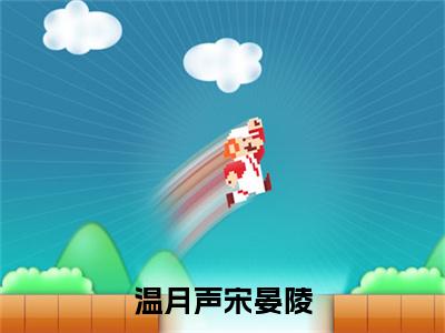 温月声宋晏陵免费小说-温月声宋晏陵完结版在线阅读