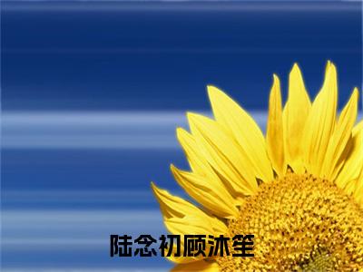 陆念初顾沐笙（顾沐笙陆念初）小说全文免费阅读无弹窗大结局_陆念初顾沐笙全文在线阅读无弹窗（顾沐笙陆念初）
