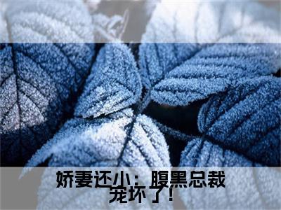 娇妻还小：腹黑总裁宠坏了！（苏晚棠墨司寒）全文免费阅读无弹窗大结局_娇妻还小：腹黑总裁宠坏了！最新章节列表笔趣阁