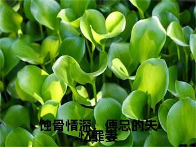 苏瑶瑶傅延川(蚀骨情深,傅总的失忆罪妻)全文免费阅读无弹窗大结局_(蚀骨情深,傅总的失忆罪妻无弹窗)最新章节免费阅读_笔趣阁