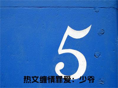 缠情罪爱：少爷，夫人逃跑了（ 苏绵绵金海英）最火免费小说最新更新-缠情罪爱：少爷，夫人逃跑了（ 苏绵绵金海英）全文已更新最新章节