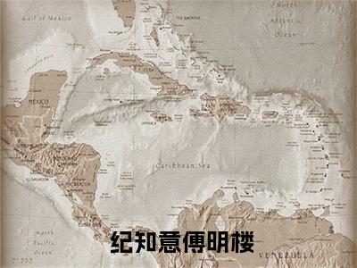 哪有动情是意外全文免费阅读无弹窗大结局_（ 纪知意傅明楼）哪有动情是意外免费阅读无弹窗最新章节列表_笔趣阁