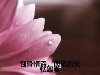 榜单小说蚀骨情深，傅总的失忆罪妻全文免费阅读无弹窗大结局-苏瑶瑶傅延川全文在线阅读