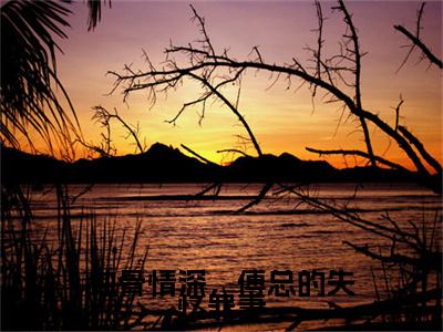 蚀骨情深，傅总的失忆罪妻小说免费（苏瑶瑶傅延川）全文免费阅读无弹窗-蚀骨情深，傅总的失忆罪妻小说全文免费阅读-笔趣阁