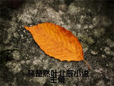 穿成女知青后，被军官丈夫宠野了( 林楚然叶北辰)小说全文免费阅读无弹窗大结局_（ 林楚然叶北辰）穿成女知青后，被军官丈夫宠野了最新章节列表（ 林楚然叶北辰）
