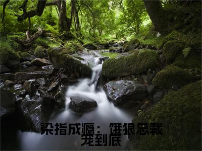 染指成瘾：饿狼总裁宠到底是什么小说，染指成瘾：饿狼总裁宠到底（夏望莫斯南）完整章节在线阅读