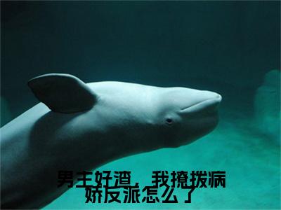 男主好渣,我撩拨病娇反派怎么了江姜容渊无广告阅读 新上热文江姜容渊在线免费读