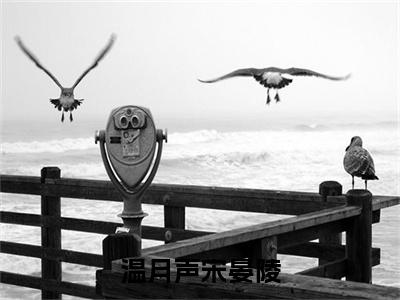 温月声宋晏陵（宋晏陵温月声）精彩热门小说_（温月声宋晏陵）宋晏陵温月声最新章节列表_笔趣阁