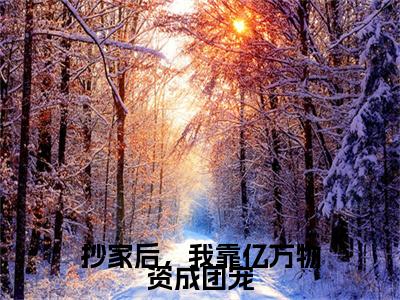 抄家后，我靠亿万物资成团宠在线阅读（阮禾慕云霄）全文免费阅读无弹窗大结局_ (抄家后，我靠亿万物资成团宠全文免费阅读)最新章节列表_笔趣阁（阮禾慕云霄）