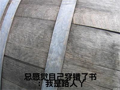 总感觉自己穿错了书：我是路人丫：夏树（夏树）全文免费阅读无弹窗大结局_（总感觉自己穿错了书：我是路人丫）夏树最新章节列表笔趣阁（总感觉自己穿错了书：我是路人丫：夏树）