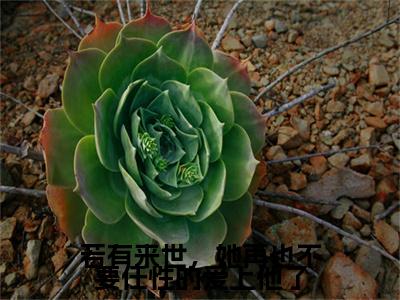 若有来世，她再也不要任性的爱上他了(梦予微谢遇安)免费全文阅读小说_（若有来世，她再也不要任性的爱上他了）梦予微谢遇安最新章节列表-笔趣阁（若有来世，她再也不要任性的爱上他了）