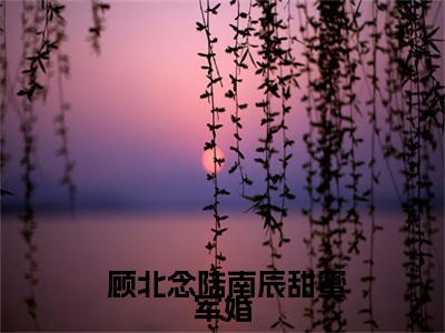 甜蜜军婚，酷帅军官爆宠小娇娇全文免费阅读无弹窗大结局_甜蜜军婚，酷帅军官爆宠小娇娇全文阅读_笔趣阁（ 顾北念陆南辰）