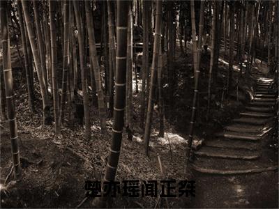 闻正桀楚亦瑶正版小说最新章节在线阅读-楚亦瑶闻正桀（闻正桀楚亦瑶）全文无弹窗阅读