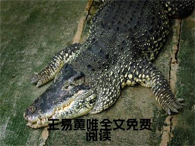 重生：高考白卷，哥要开始摆烂啦！全文免费阅读-（ 王易黄唯）小说全文免费阅读正版无弹窗