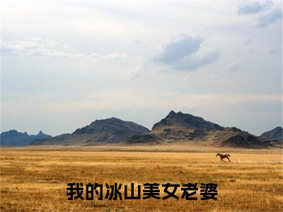 我的冰山美女老婆(宁北)全文免费阅读无弹窗大结局_(宁北在线阅读)我的冰山美女老婆最新章节列表笔趣阁（宁北）