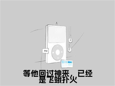 等他回过神来，已经是飞蛾扑火（苏未厉绍呈）全文小说-等他回过神来，已经是飞蛾扑火小说最新章节免费阅读
