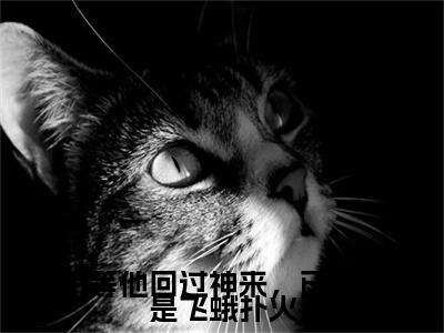 等他回过神来，已经是飞蛾扑火（苏未厉绍呈）全文免费阅读无弹窗大结局_苏未厉绍呈全文免费阅读_笔趣阁（等他回过神来，已经是飞蛾扑火）