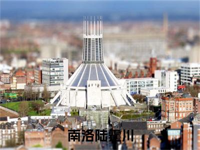 南洛陆霆川(陆霆川南洛)全文免费阅读无弹窗大结局_南洛陆霆川在线阅读笔趣阁(陆霆川南洛)
