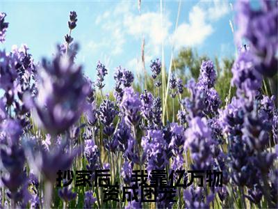 抄家后，我靠亿万物资成团宠（阮禾慕云霄）完整版小说阅读_抄家后，我靠亿万物资成团宠全文免费阅读最新章节列表_笔趣阁