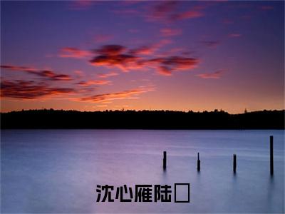 沈心雁陆璟（陆璟沈心雁）全文免费大结局小说-沈心雁陆璟全文最新章节阅读