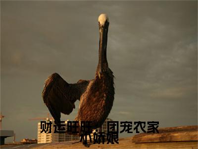  苏茵茵苏云林正版小说最新章节在线阅读-财运旺旺：团宠农家小娇娘（ 苏茵茵苏云林）全文无弹窗阅读