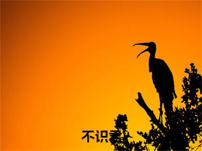 不识君小说（孟晚晚迟云钰）全文免费阅读无弹窗大结局_ (不识君免费阅读)最新章节列表_笔趣阁（孟晚晚迟云钰）