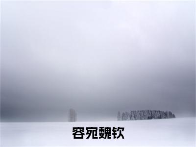 魏钦容宛（容宛魏钦）全文免费阅读无弹窗大结局_（容宛魏钦无弹窗）全文完整版免费阅读