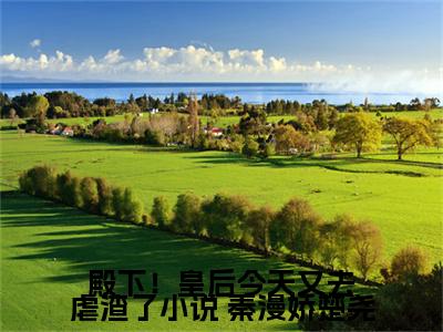 殿下！皇后今天又去虐渣了小说小说全文（ 秦漫娇楚尧）全文免费阅读无弹窗大结局-（ 秦漫娇楚尧）无弹窗免费阅读大结局