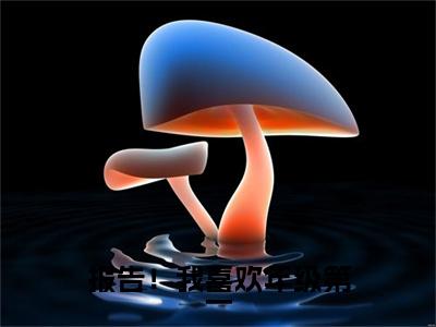林城夏之未（报告！我喜欢年级第一最新全章节大结局）全文阅读-林城夏之未报告！我喜欢年级第一在线小说免费阅读