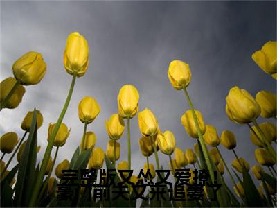 完整版又怂又爱撩！豪门前夫又来追妻了知乎最新章节-（ 沈听诺傅修砚）完整版又怂又爱撩！豪门前夫又来追妻了全文在线阅读无弹窗