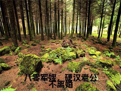 【新书】《陆建城蔡安安》全文免费阅读无弹窗大结局-八零军嫂，硬汉老公不离婚全文全章节免费阅读
