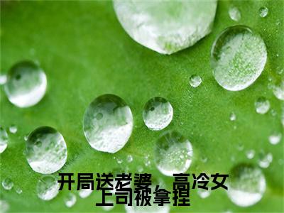 开局送老婆,高冷女上司被拿捏免费阅读无弹窗最新章节列表-(李响)全文免费阅读大结局笔趣阁(李响)