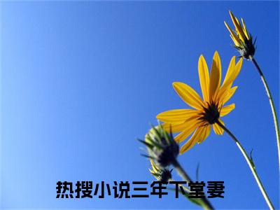 三年下堂妻，离婚后前夫悔不当初小说热门章节免费阅读_三年下堂妻，离婚后前夫悔不当初最新章节列表_笔趣阁