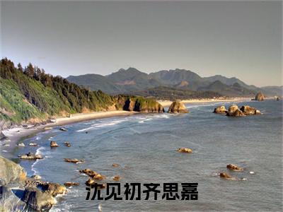 主角为齐思嘉沈见初的小说（沈见初齐思嘉）大结局免费阅读-沈见初齐思嘉全文免费阅读笔趣阁